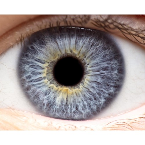 HIRA™ EYESCAN