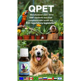 QPET, 15 ml, Israeli BIO Innovation Concentrated Extract Food Supplement